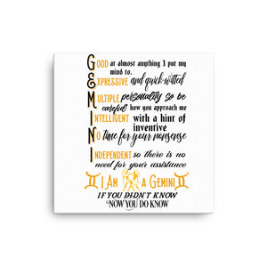 Gemini Zodiac Sign Canvas Wall Art( White Background)